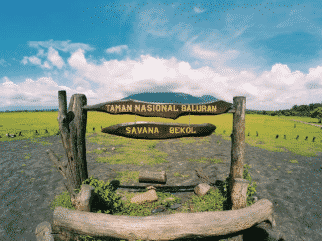 Taman Baluran Banyuwangi Afrika Di Ujung Timur Pulau Jawa