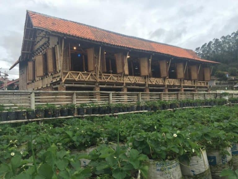 9 Cafe di  Ciwidey  Buat Nongkrong  Unik Pemandangan Bagus 